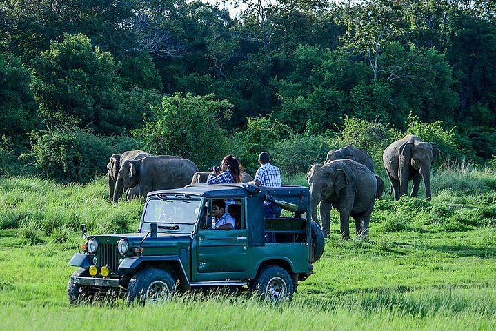 Udawalawe - Sri Lanka Travel Guide